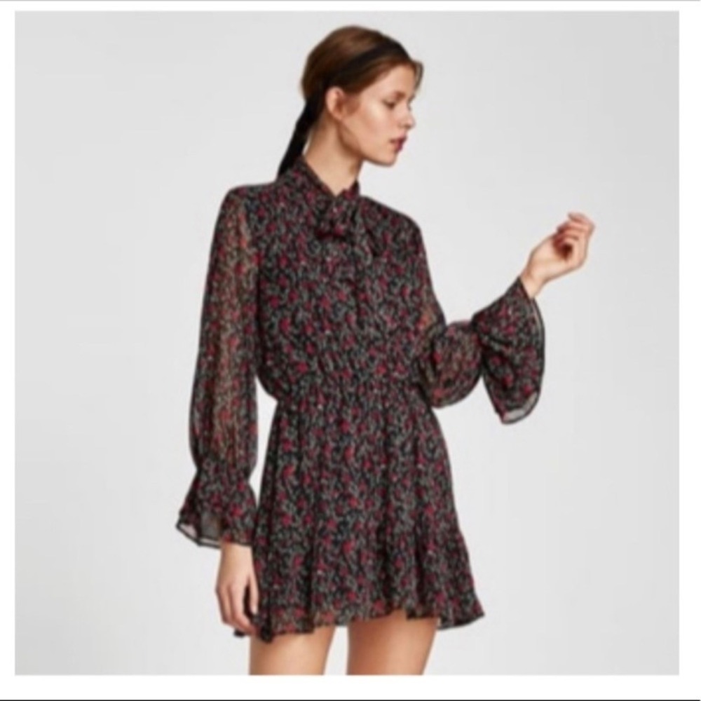 Zara Floral Mini Dress XS Black Red Sheer Long Sleeve Tie Neck Romantic Boho